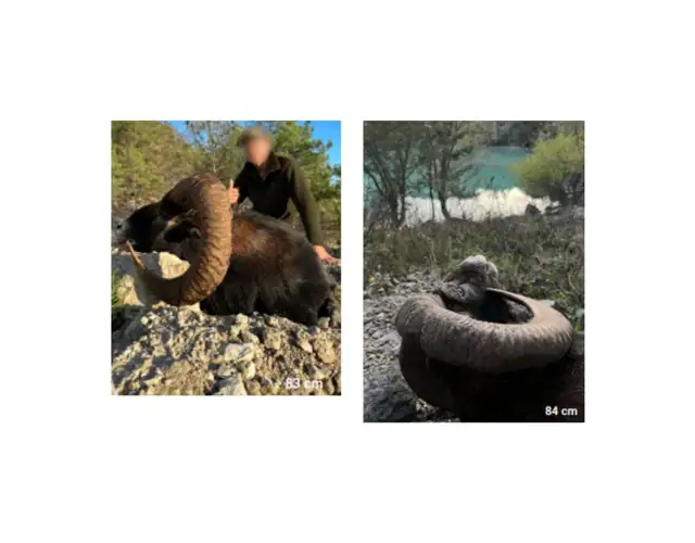 Kopi Af Hjemmeside Og PDF Format 169 (25)