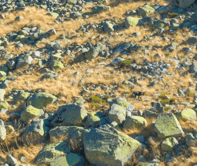 Skærmbillede 2024 10 18 124052 Min