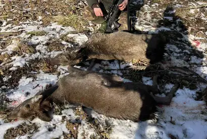 Whatsapp Image 2025 06 10 At 09.48.25 (4)