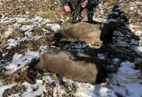 Whatsapp Image 2025 06 10 At 09.48.25 (4)