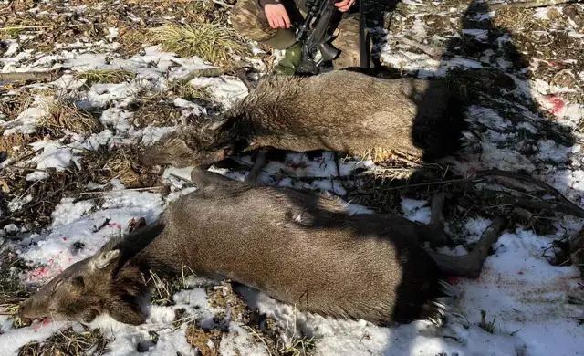 Whatsapp Image 2025 06 10 At 09.48.25 (4)