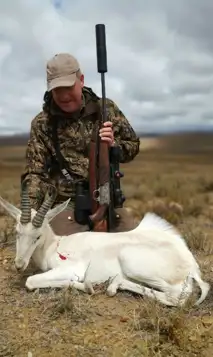 117444848 2171788129632843 3533835162363227140 N