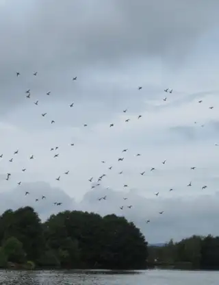 Skærmbillede 2025 02 28 131948