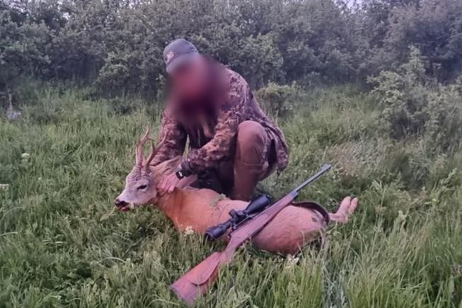 Skærmbillede 2023 05 10 091800