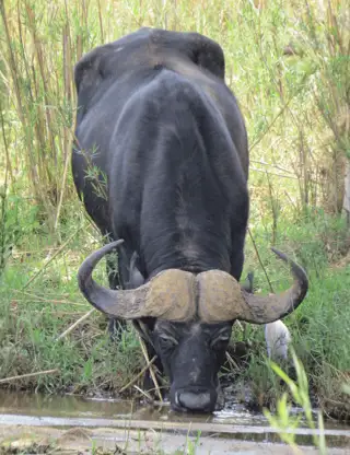 Hjemmeside Og PDF Format 169 (8) Min