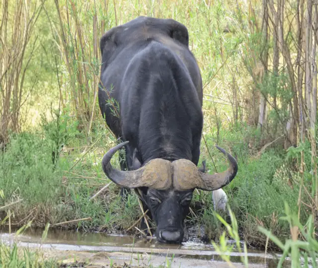 Hjemmeside Og PDF Format 169 (8) Min