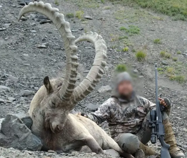 Skærmbillede 2023 12 04 130145