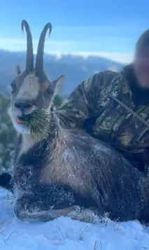 Skærmbillede 2025 01 06 105804