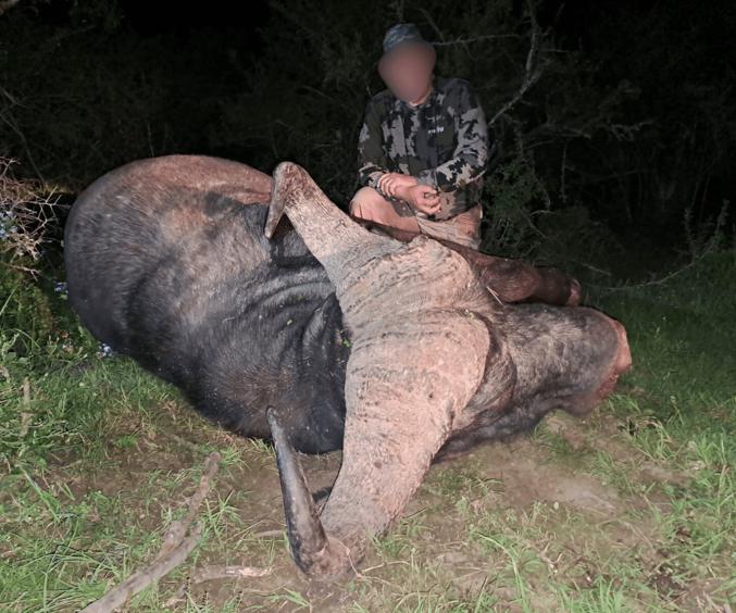 Design Uden Navn (2) Min