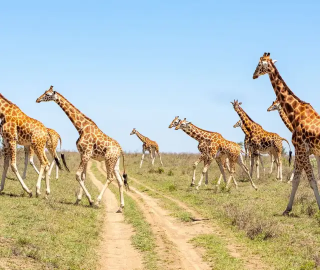 Kopi Af Hjemmeside Og PDF Format 169 (9) (1)