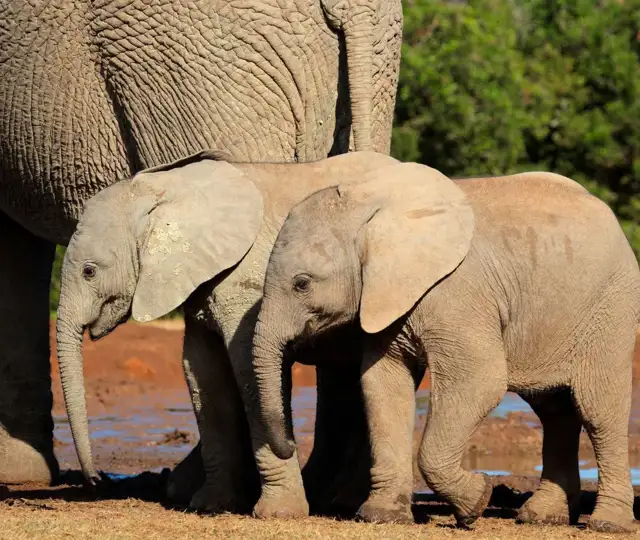 Kopi Af Hjemmeside Og PDF Format 169 (12) (1)