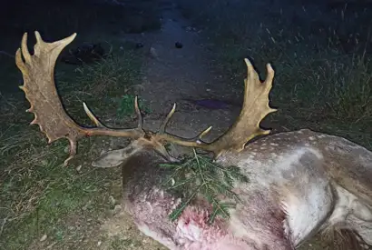 PHOTO 2023 06 27 13 03 24