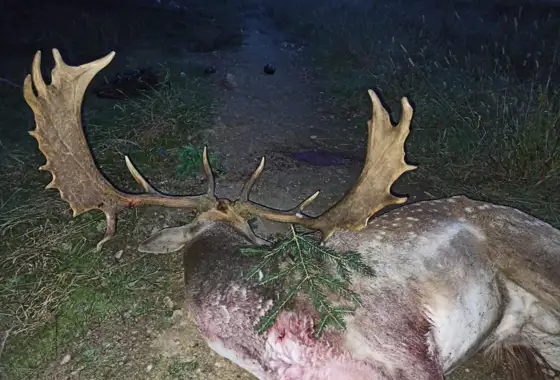 PHOTO 2023 06 27 13 03 24