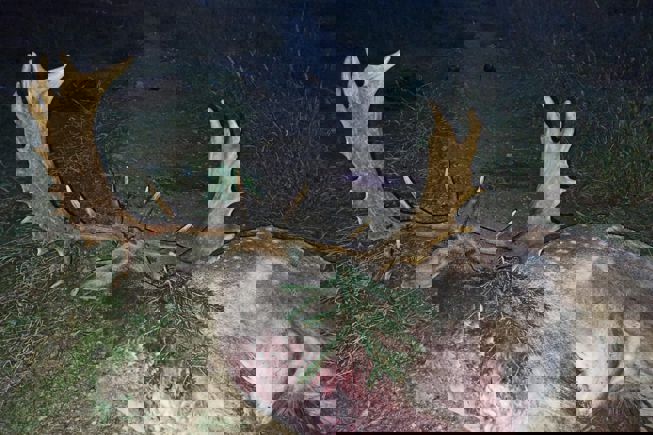 PHOTO 2023 06 27 13 03 24