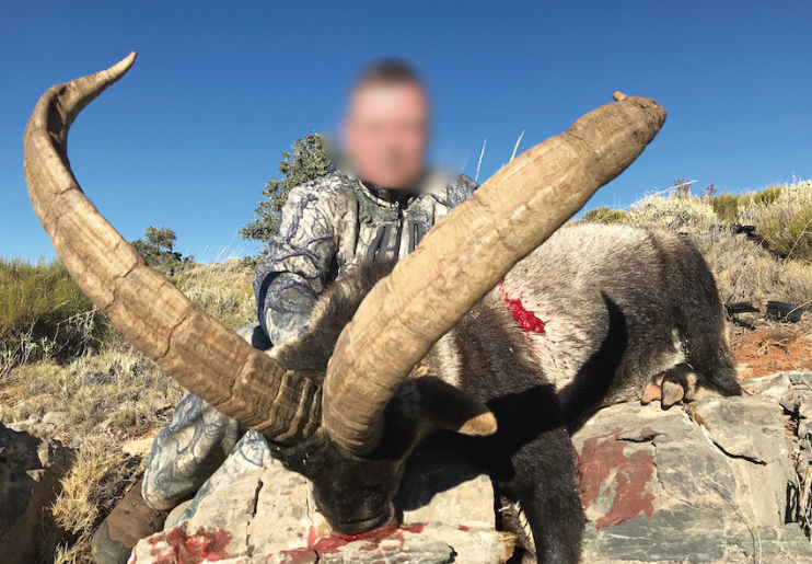 Design Uden Navn (29)