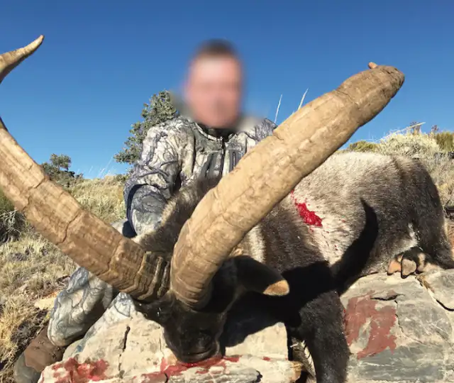 Design Uden Navn (29)