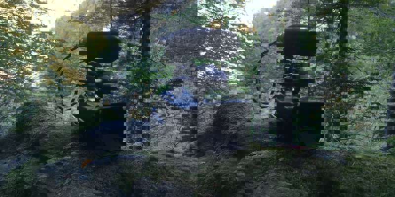 Jagtfilm