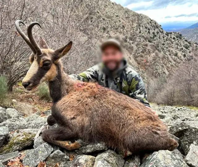 Skærmbillede 2025 01 06 105855