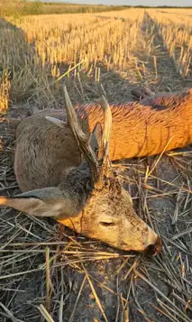 Whatsapp Image 2025 08 04 At 09.44.21