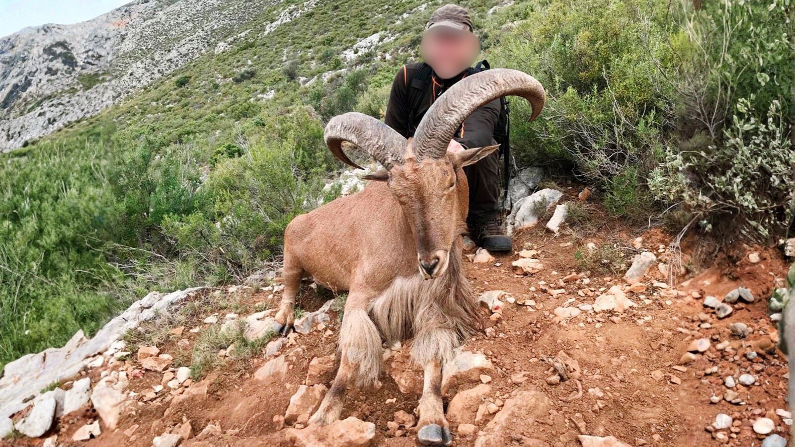 Kopi Af Hjemmeside Og PDF Format 169 (8)