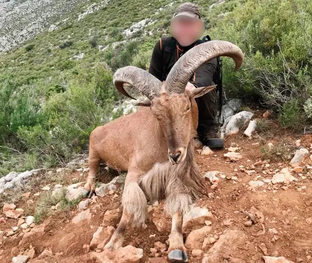 Kopi Af Hjemmeside Og PDF Format 169 (8)