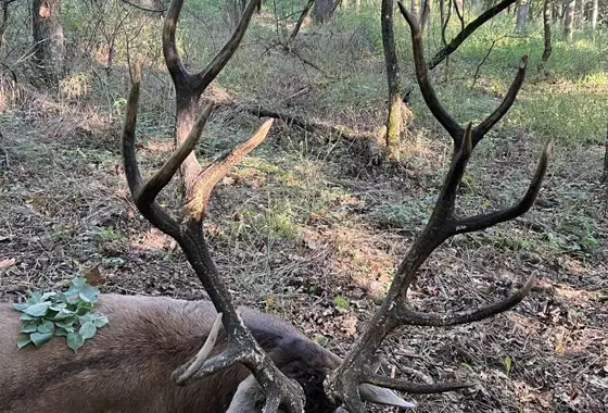 384245889 1078947660071385 7571089099265466018 N