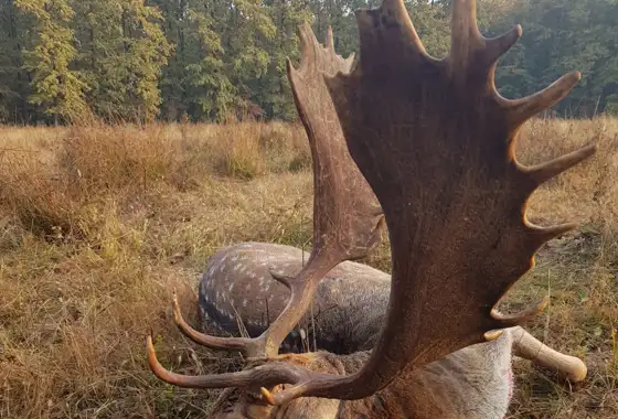 8A9b8bdb 2C5a 4F72 831D 3D2adfa92430