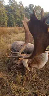 8A9b8bdb 2C5a 4F72 831D 3D2adfa92430