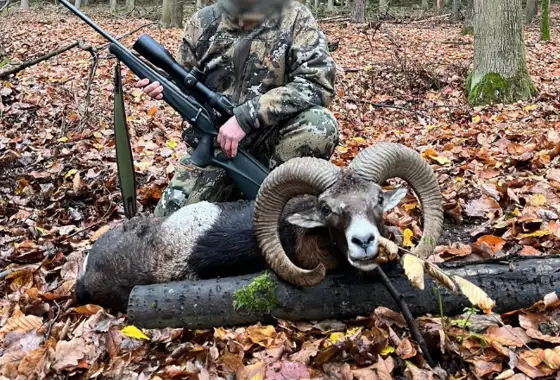 Skærmbillede 2023 12 01 074026