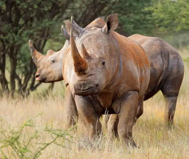 Kopi Af Hjemmeside Og PDF Format 169 (10) (1)