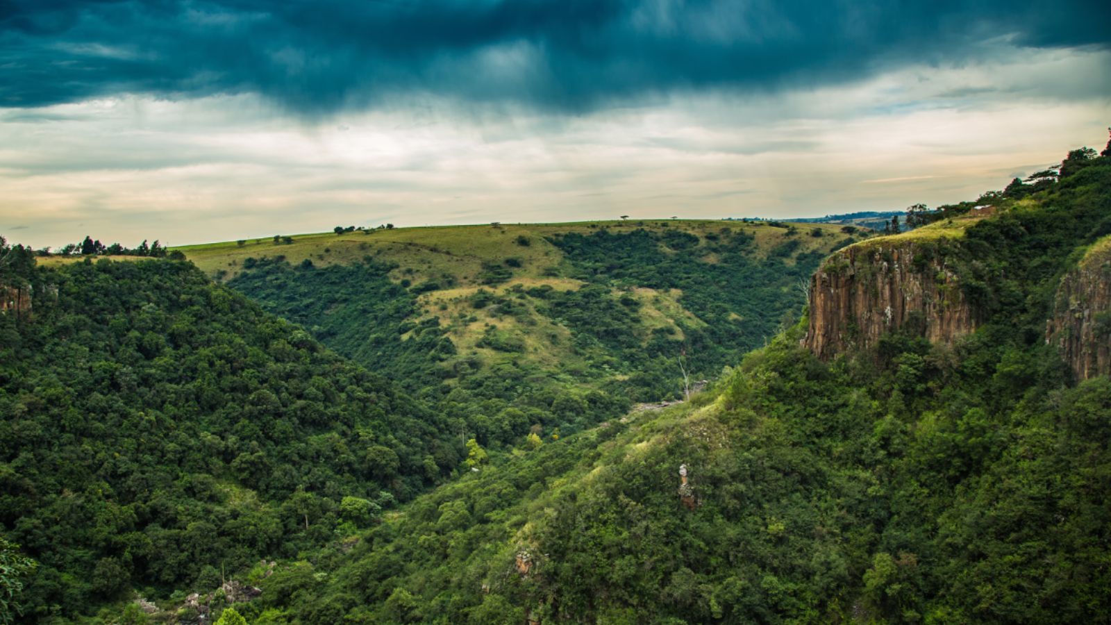 KwaZulu-Natal