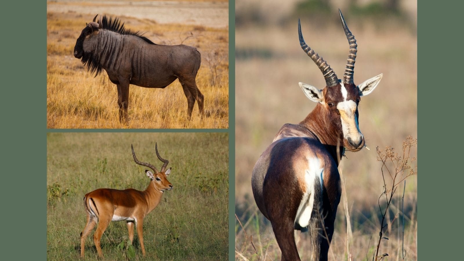 Kopi Af Hjemmeside Og Pdf Format 169 2025 11 27T122927599 Min