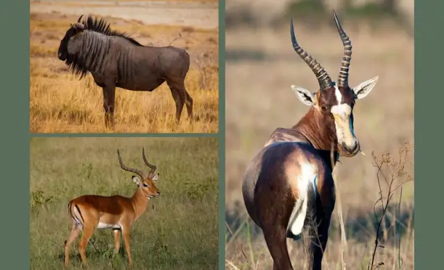 Kopi Af Hjemmeside Og Pdf Format 169 2025 11 27T122927599 Min