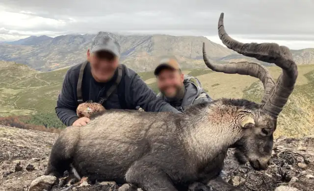 Skærmbillede 2024 10 18 134558 Min