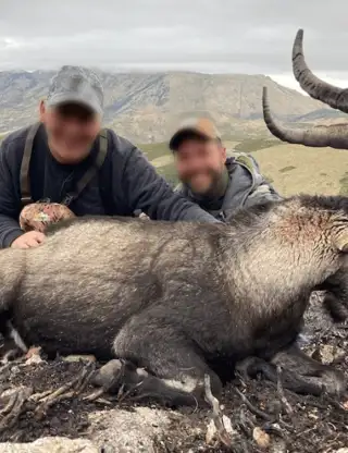 Skærmbillede 2024 10 18 134558 Min