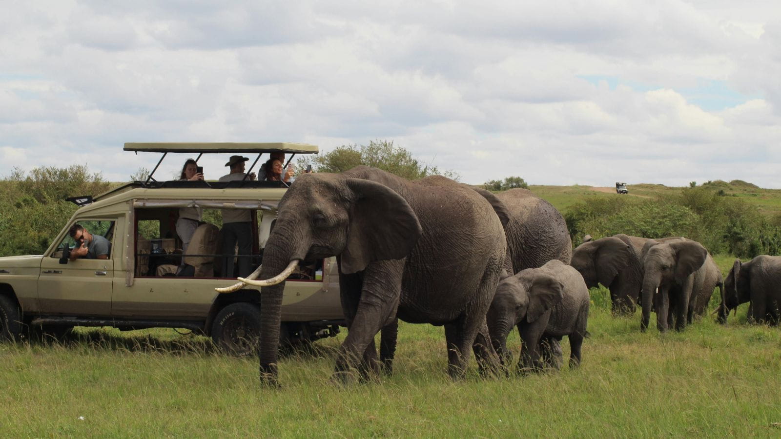 Kopi Af Hjemmeside Og PDF Format 169 (8) (1)