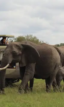 Kopi Af Hjemmeside Og PDF Format 169 (8) (1)