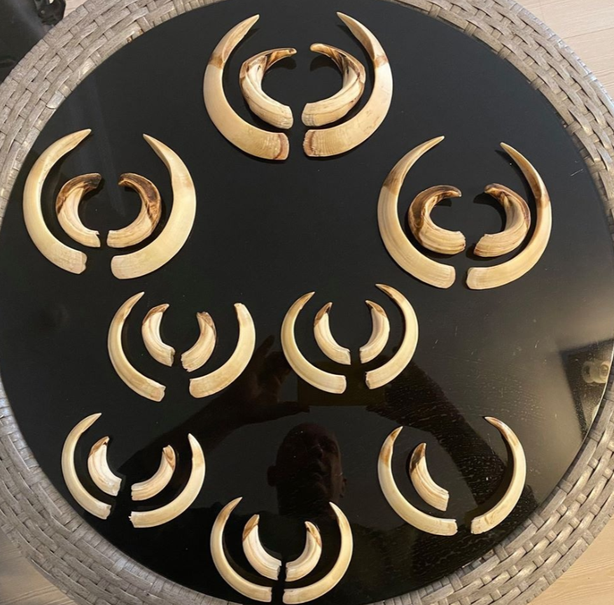 Skærmbillede 2024 09 25 134832