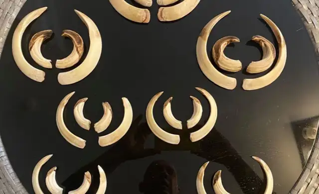 Skærmbillede 2024 09 25 134832