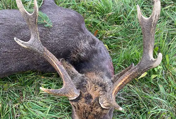 PHOTO 2023 06 27 13 03 29