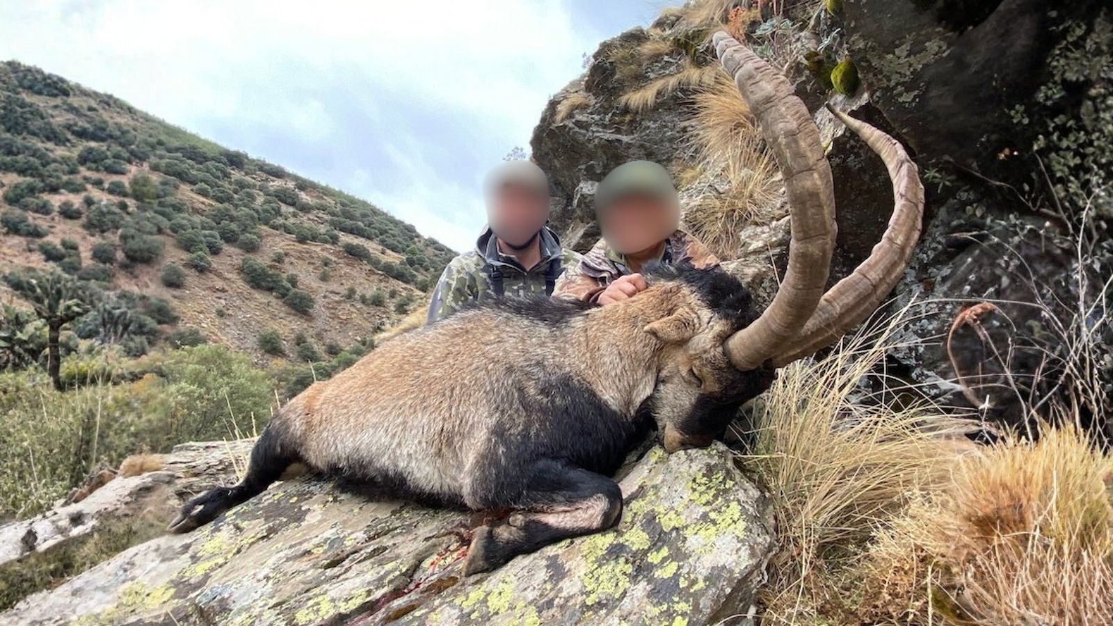 Kopi Af Hjemmeside Og PDF Format 169 2025 12 12T094258.436