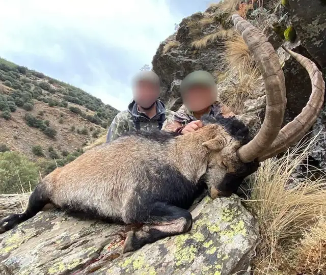 Kopi Af Hjemmeside Og PDF Format 169 2025 12 12T094258.436