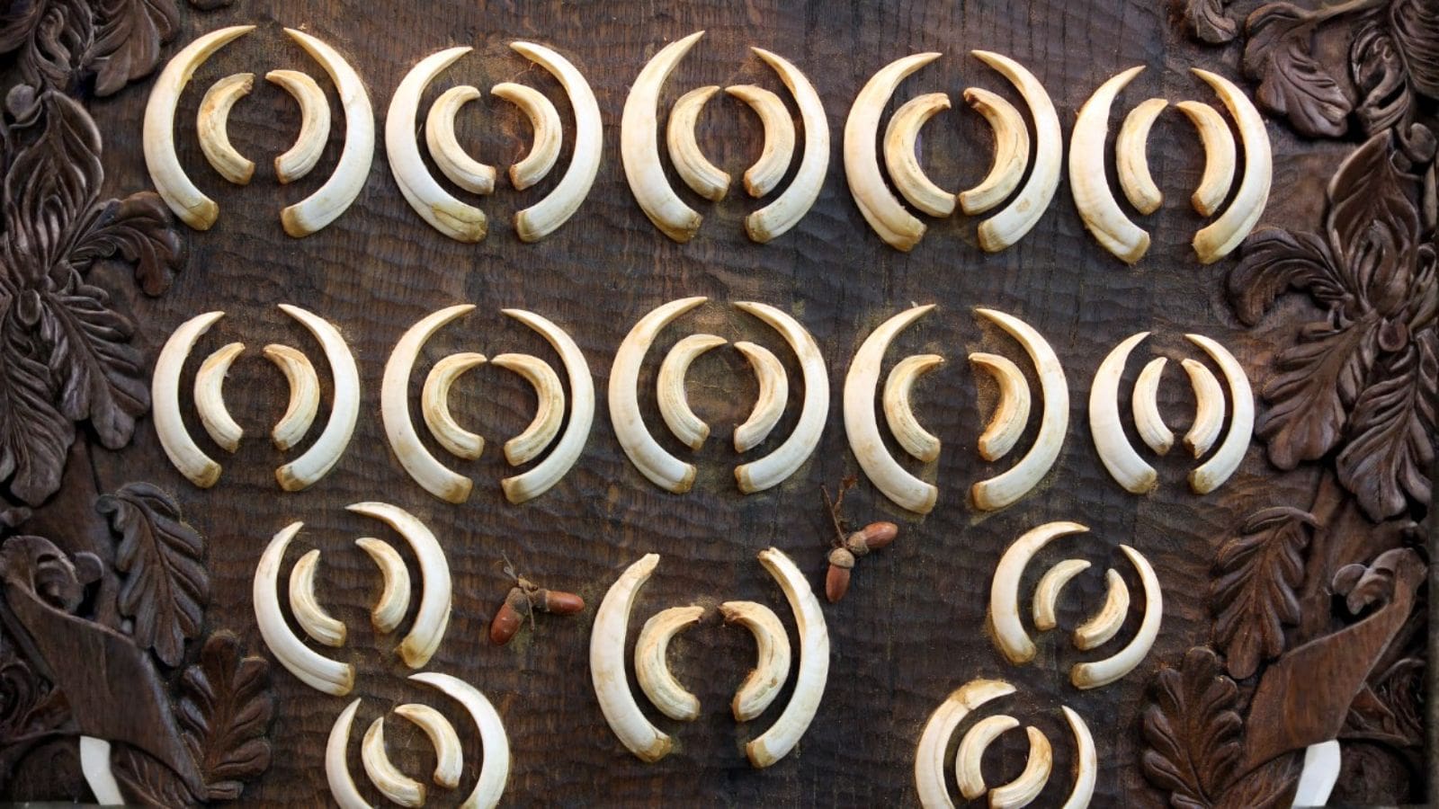 Skærmbillede 2024 05 07 151346