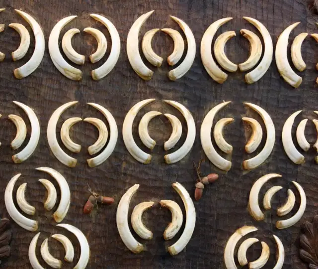 Skærmbillede 2024 05 07 151346