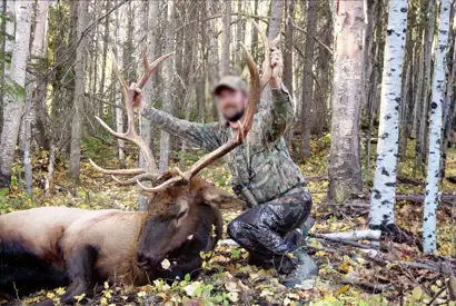 Skærmbillede 2023 10 30 174750