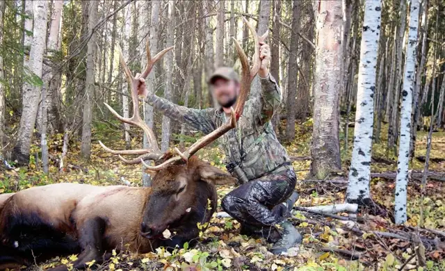 Skærmbillede 2023 10 30 174750