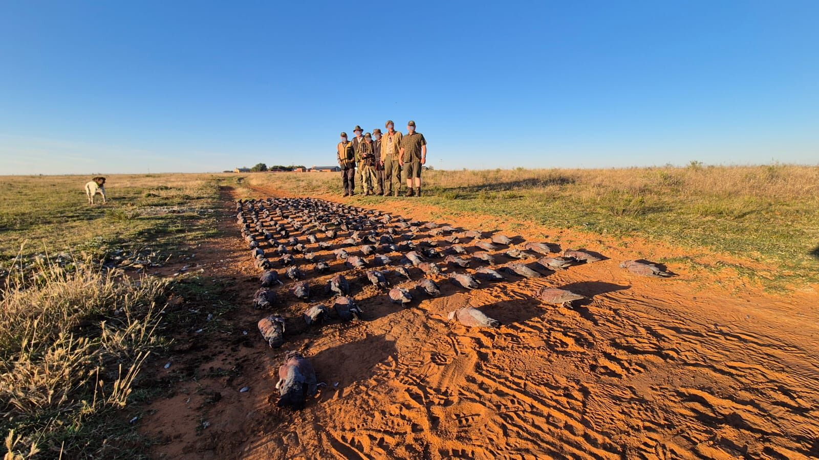 Kopi Af Hjemmeside Og PDF Format 169 (2) Min