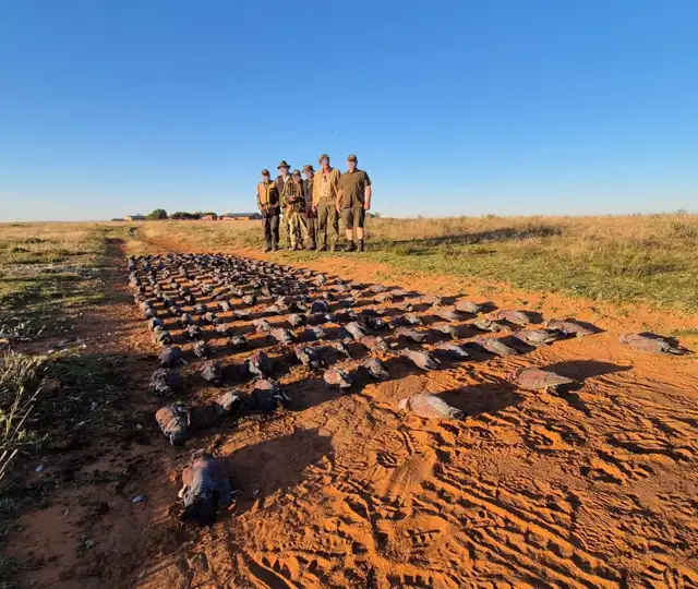 Kopi Af Hjemmeside Og PDF Format 169 (2) Min