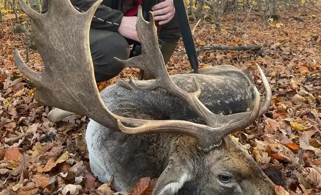 Whatsapp Image 2023 05 25 At 18.35.01 (2)