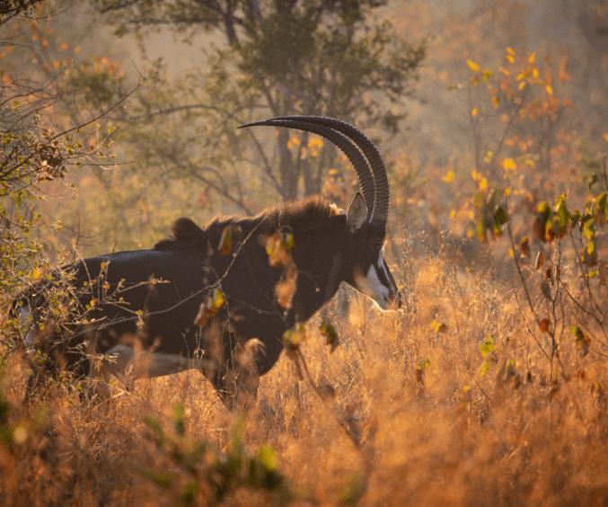 Second Set Print 131644658466568